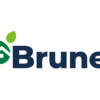 brunel